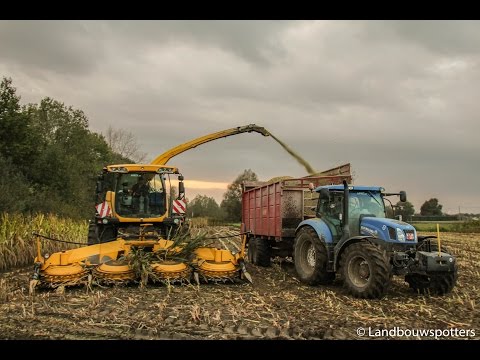 New Holland FR 9050 mais hakselen 2014 - Debrabandere uit Waregem