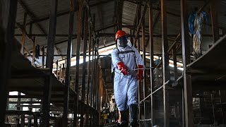 La UE y Unicef envían 100 toneladas de ayuda a la RD del Congo por el brote de ébola