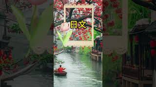 【中日双语】茉莉花 - 歌で楽しく学ぶ中国語！癒しのバイリンガルカバー #shorts  #vlog#中国の歌＃中国語