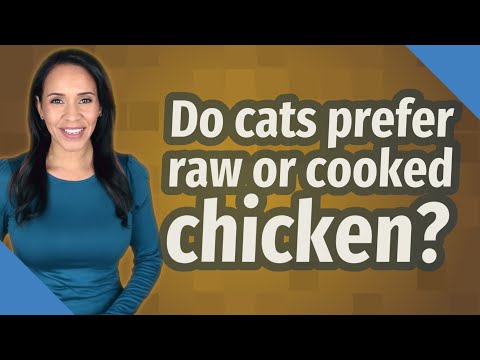 Do cats prefer raw or cooked chicken?