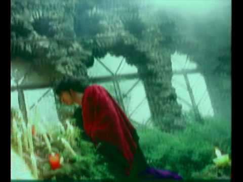 Paulo Bragança - O Espirito da Carne