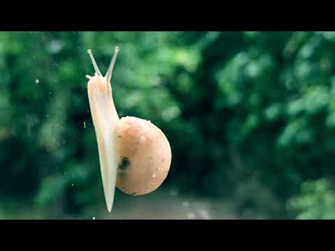 Yüzyüzeyken Konuşuruz - Bodrum (Duygu Kahraman cover)