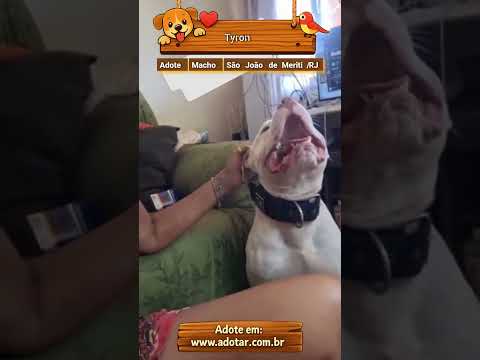 Vídeo de Tyron