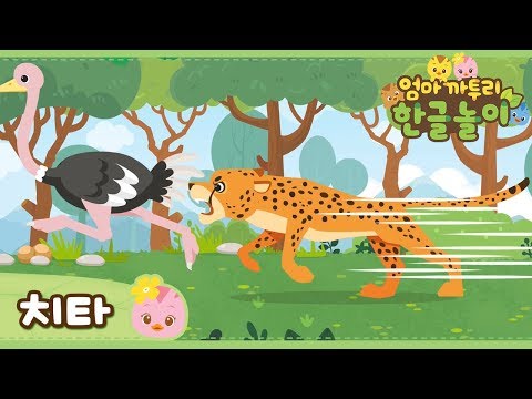 [엄마 까투리 한글놀이] 달리기 선수 치타편 🐆 | 자연관찰 | 동물도감