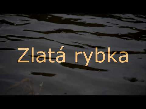Zlatá rybka