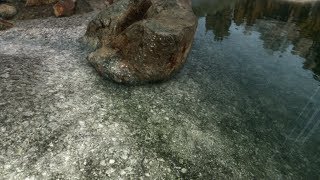 Breathtaking Realistic 2019 Modded Skyrim! (1440p 60fps)