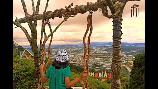 Things to do in Da Lat #Shorts