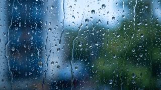 Aquele sono profundo te esperando! Sons de chuva no teto do carro ideal para uma noite perfeita