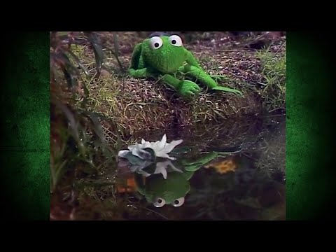Robin the Frog Sings "Somewhere Over the Rainbow" | The Muppet Show Classic Performance