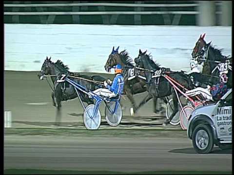 Trotto 04/11/2016 - 8ª corsa