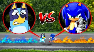 BLUEY FIGHTS SONIC THE HEDGEHOG IN REAL LIFE!!