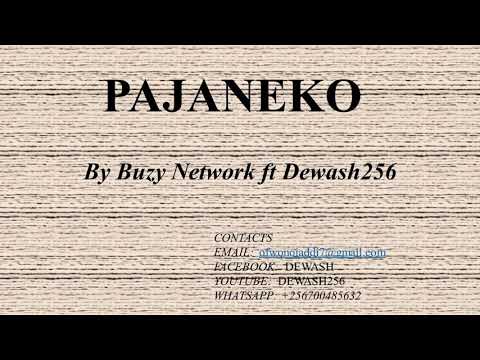 Pajaneko - Buzy Network ft Dewash256
