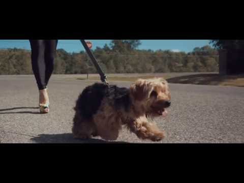 Keek - The Doghouse (OFFICIAL VIDEO)