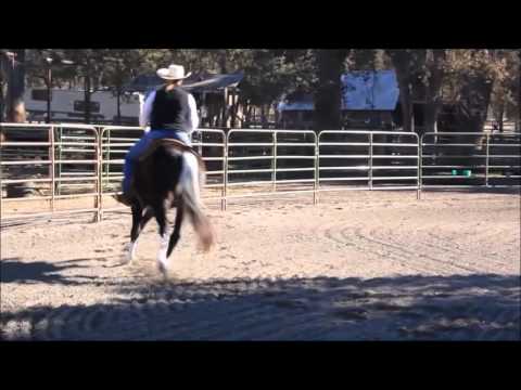 Gun N Dun It (Journey) video 1