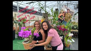 Orlando International Orchid Show and Sale- Orchids in Bloom 2024