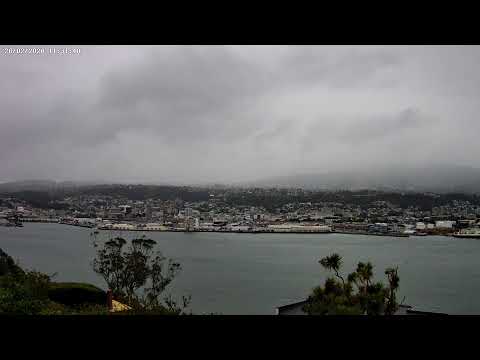 Dunedin Overview thumbnail