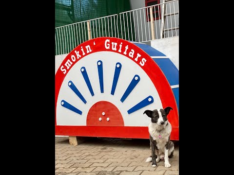 Smokin' Guitar 2022 - Cigarboxguitar Festival Germany - Pleutersbach