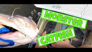 The Grind Pays Off With A MONSTER Blue Catfish | James River | Kayak | Catfishing