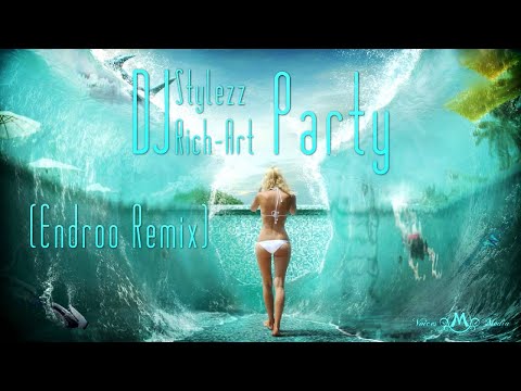 Dj Stylezz & DJ Rich-Art - Party (Endroo Remix) HD