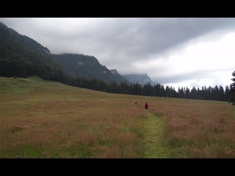 Traseu montan in Bucegi: Sinaia - Poiana Stanei - Valea Babei - Valea Tapului - Valea Urlatorii