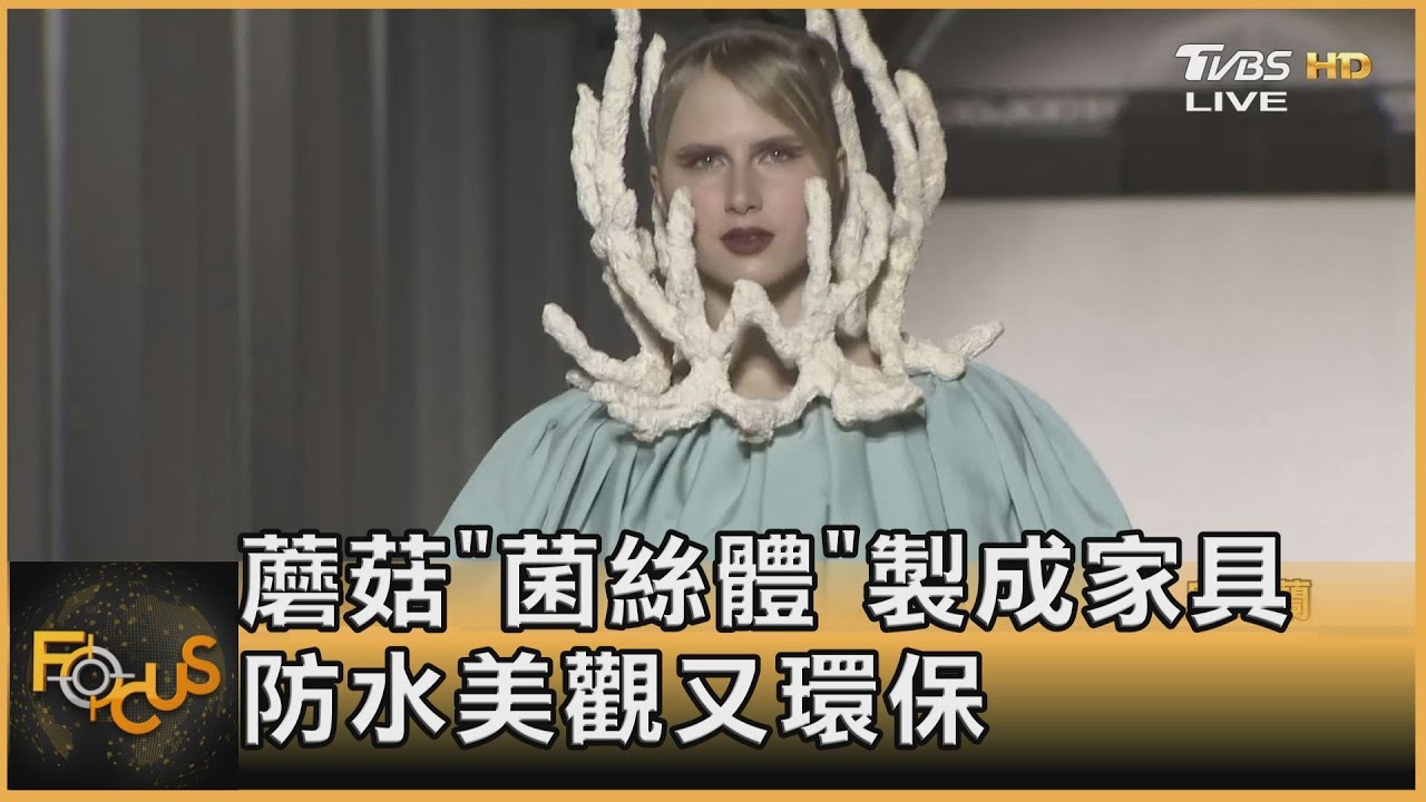 蘑菇「菌絲體」製成家具 防水美觀又環保