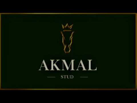 akmal stud!