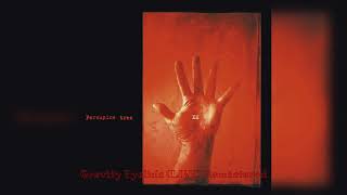 Porcupine Tree - Gravity Eyelids (LIVE) Remastered