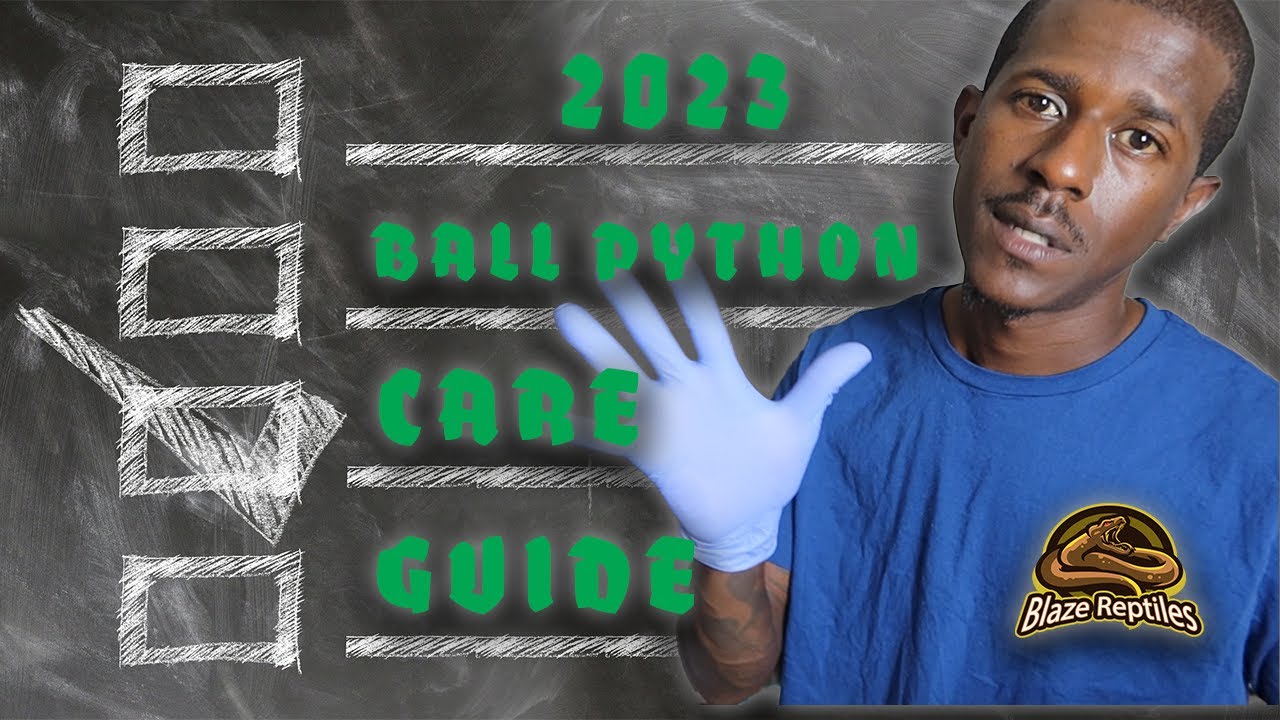 The Ultimate Reptile Guide to Mastering Ball Python Care in 2023