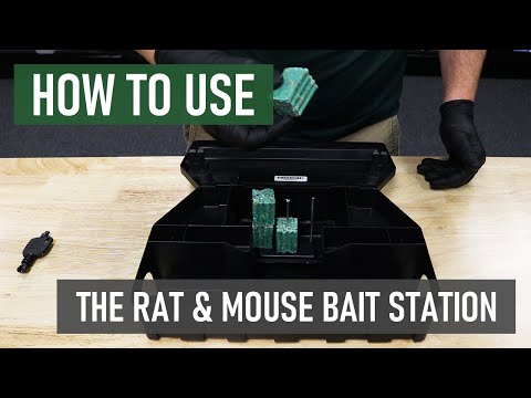 How to Use a Rat & Mouse Bait Station | DIY Rodent Control