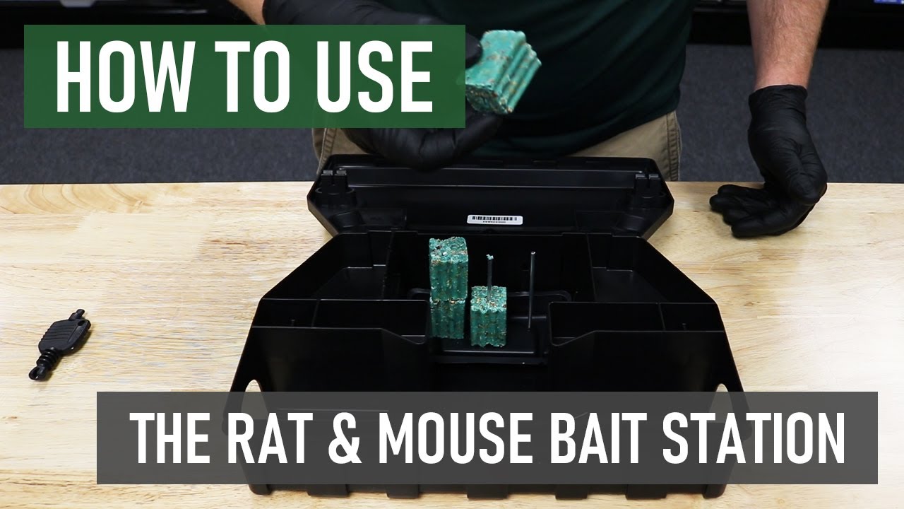 The Best Rodent Bait Stations  Professional DIY Pest Control Equipment