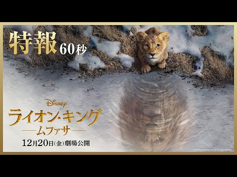 特報60秒