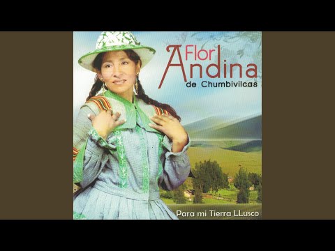 Almendra - Flor Andina De Chumbivilcas