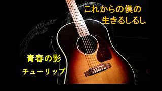 青春の影　「これからの僕の生きるしるし」　ギター弾き語り　チューリップCOVER