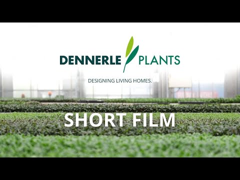 A short film about Dennerle Plants