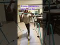 Two Easy Gymnastics Tricks On A At Home Gymnastics Bar