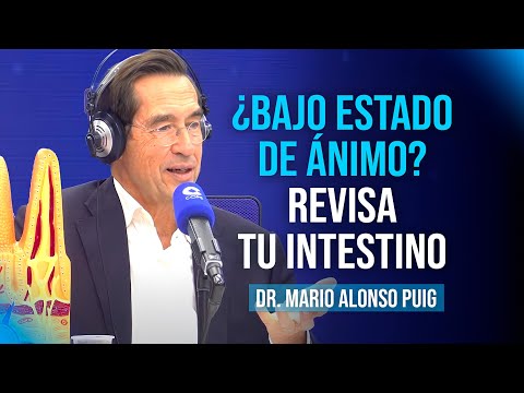 Tu intestino influye en tu estado de ánimo: microbiota, ansiedad y cerebro | Mario Alonso Puig