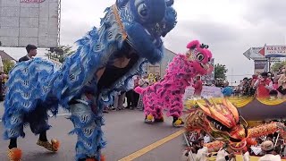 Download lagu Pertunjukan Barongsai Ponpes Az-Zahra 2, Karnaval  Hari Santri Nasional 2022 mp3