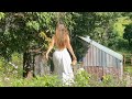 Living In An Abandoned Shed In The Rainforest Life Off Grid