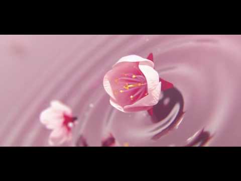 Energiereich Glücklich - das TagesOrakel von Malkiel  für den 17.1.19 - Mondpausen - Tarot