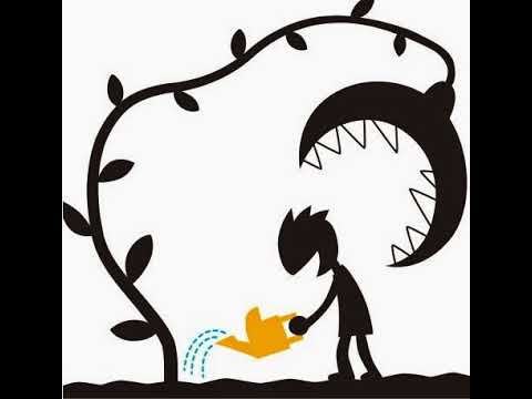 مقطع نار من صقر العرب