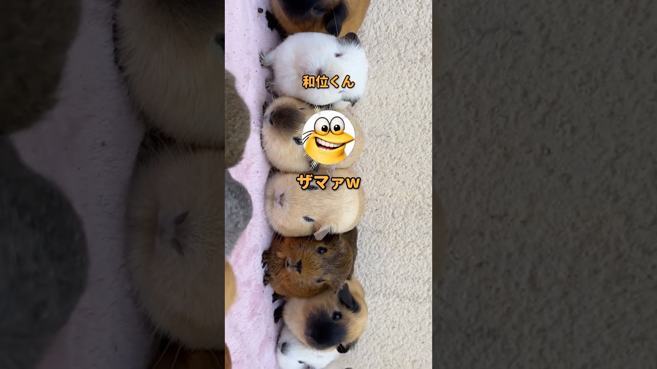 【スカッと】「みんなで宿題を無視するで！」ワイくんの誘いに乗ってしまった結果w