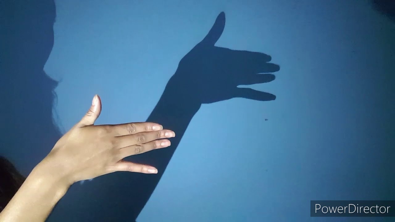 Watch Now Vídeo aula- Animais com sombra/ EAD/ Berçário/ Ed. Infantil Vídeo aula- Animais com sombra/ EAD/ Berçário/ Ed. Infantil