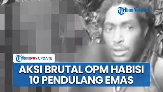 Detik-detik 10 Pendulang Emas Tewas Diserang OPM, Ratusan Penambang Masih Terjebak Sembunyi di Hutan
