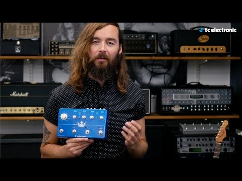 TC Electronic Triple Flashback Delay 2014 - Present - Blue image 5