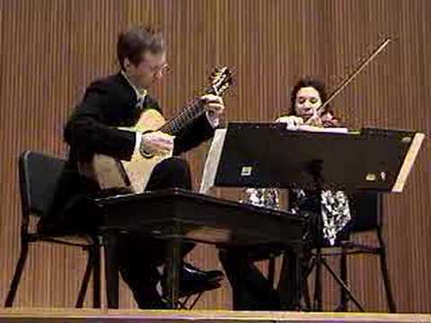 Momentray Lapses - Duo46 (Violin and Guitar)