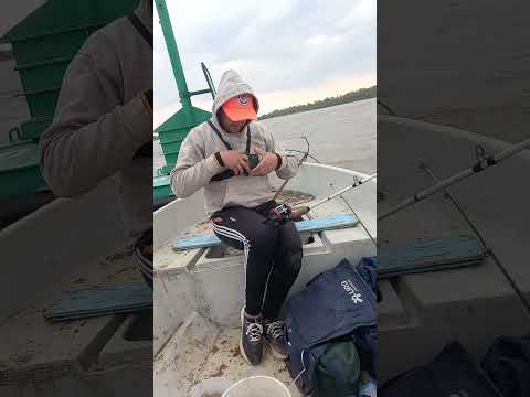 "Pesca Embarcado en Alto Verde 🎣 ¡Acción en el Río Santa Fe!" #pescaargentina