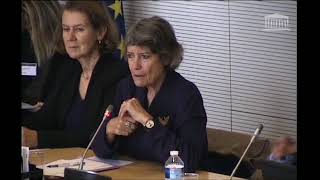 Audition de Véronique Cayla, Présidente d'ARTE France