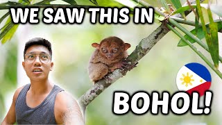 This is WHY you need to visit BOHOL, Philippines! 🇵🇭