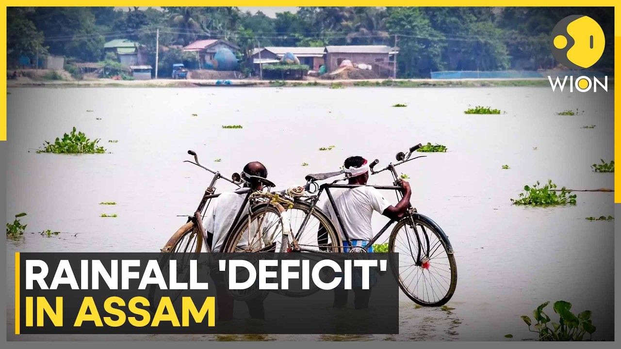 Why is Assam Flooded Despite Less Rainfall | WION News