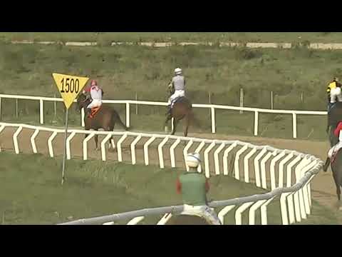 SINT FLORIDA 230512 c08 1° NICOLINNO